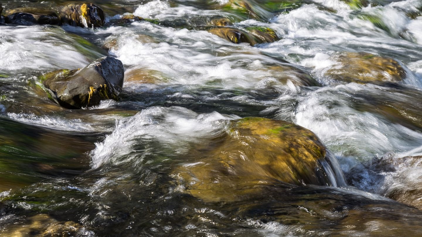 Using Hawke’s Bay’s rivers to unlock the mysteries of marine carbon storage