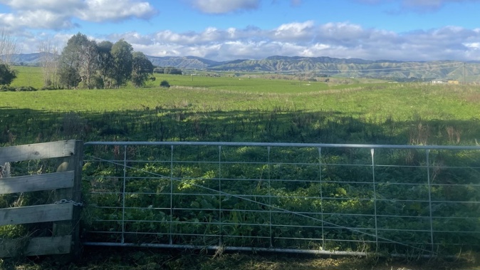 Joshua Hürlimann's Horowhenua land remains empty. Photo / Supplied