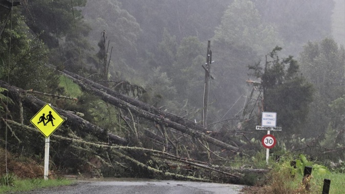 Police are asking Northlanders to please stay home if possible. Photo / Northland police