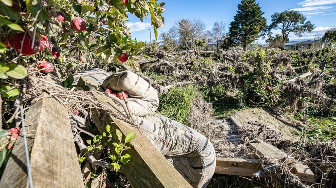 Photo / Warren Buckland