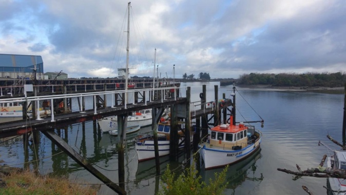 Fishing fleet in Westport. (Photo / Tracy Neal, RNZ)
