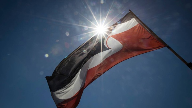 The Tino Rangatiratanga flag. Photo / Jason Oxenham