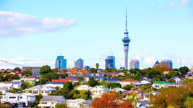 Auckland has lost 30 per cent of its green space due, in part, to housing intensification. Photo /Sylvie Whinray