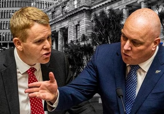 Photo / NZ Herald