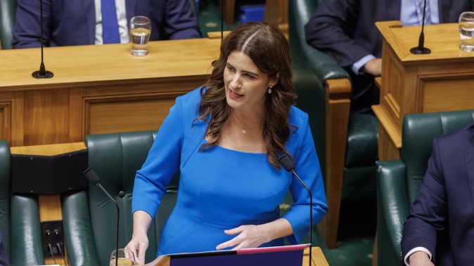National MPs are showing off their outfits after Finance Minister Nicola Willis was criticised recently. Photo / Mark Mitchell