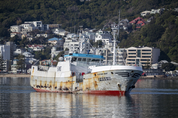 Viking Bay fishing vessel upon arrival to Wellington Harbour. Photo / Mark Mitchell / NZ Herald