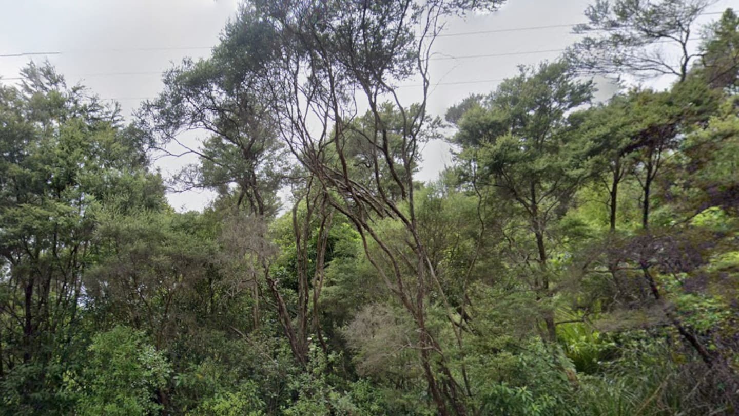 Mt Eden man charged after allegedly abducted woman found hurt in remote West Auckland
