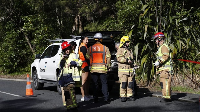 Fire and Emergency New Zealand and Auckland Council staff are at the scene of a landslip at the back of a Muriwai property. Photo / Hayden Woodward