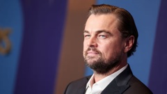 Leonardo DiCaprio took to Instagram to congratulate Wellington's conservation efforts. Photo / Getty Images