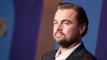 DiCaprio's kiwi call out: 'New Zealand's capital has been transformed'