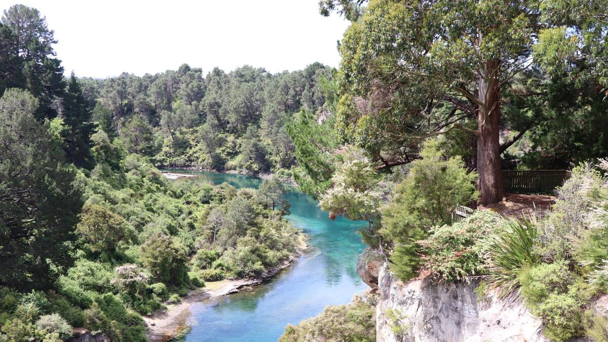 25-year-old named as swimmer missing in Waikato River search