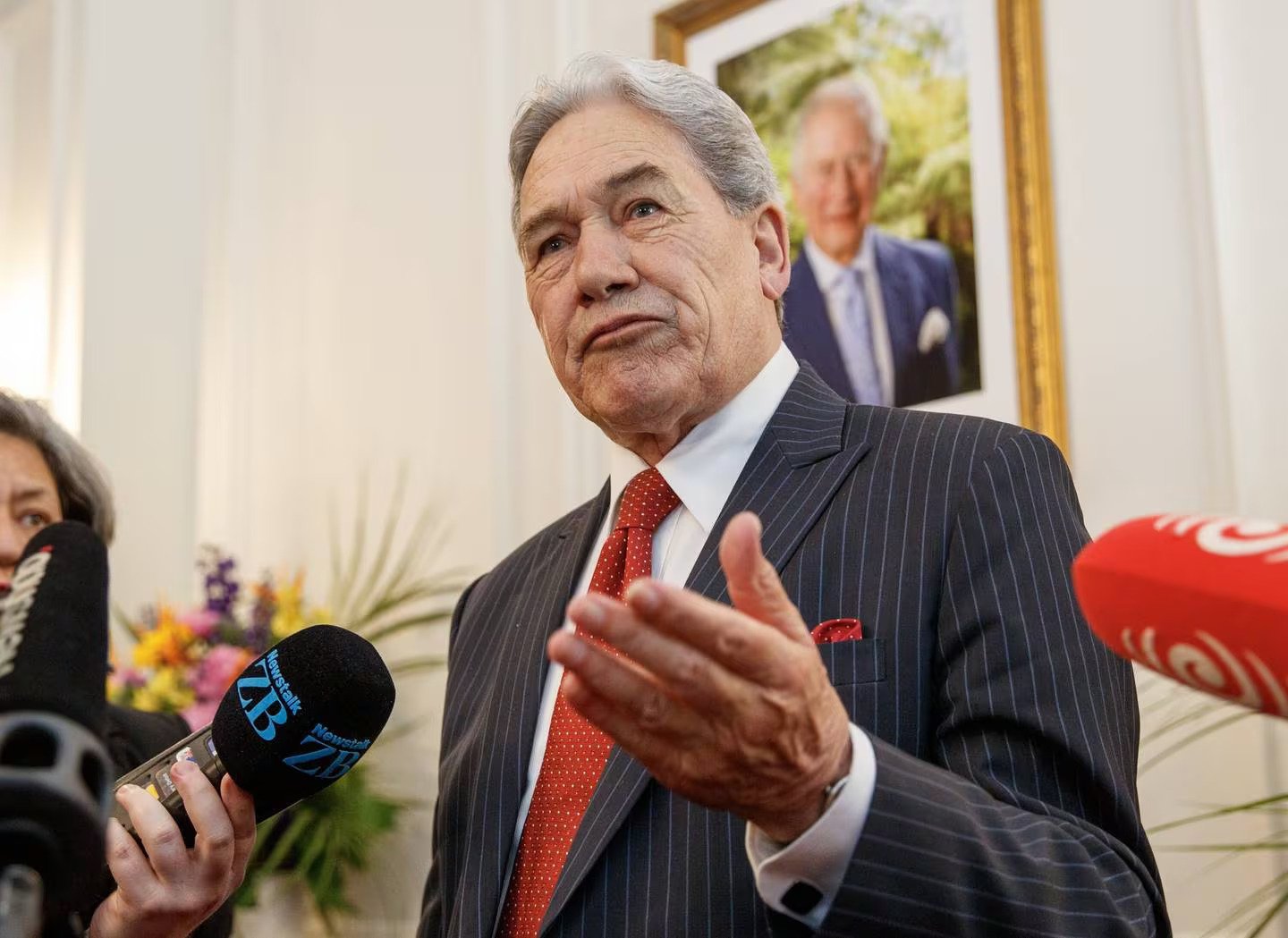 Deputy Prime Minister Winston Peters. Photo / Mark Mitchell