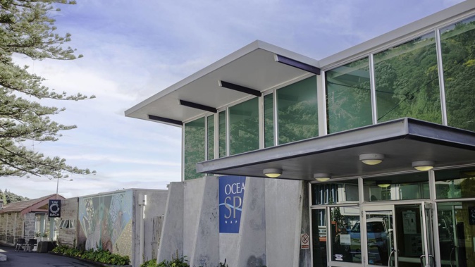 Ocean Spa pools in Napier is set for some upgrades next year. Photo / Supplied