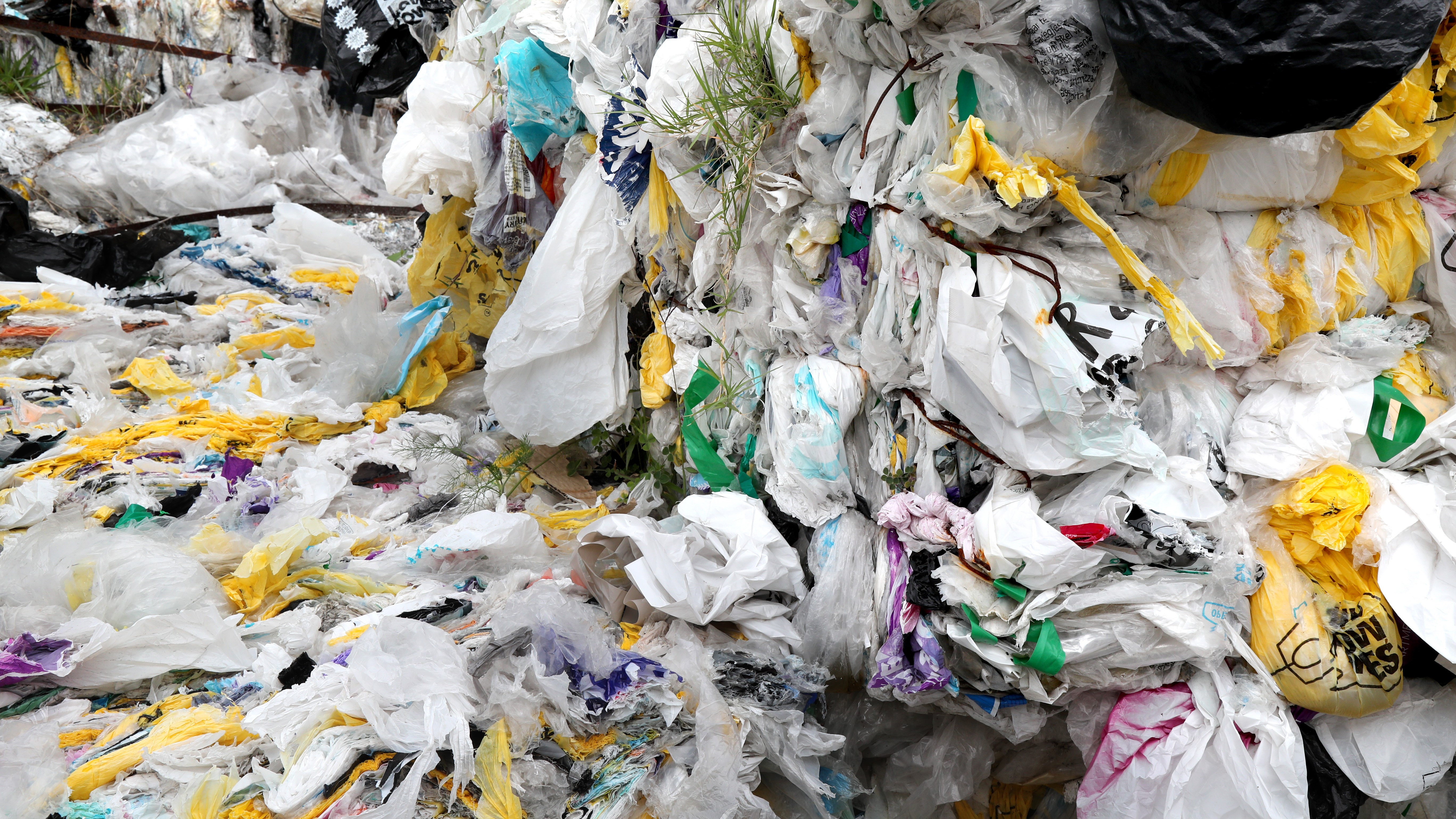 Photo / Bevan Conley | File