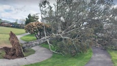 Winds still hanging around in exposed parts of Hawke's Bay, state highway still closed