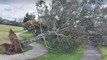 Winds still hanging around in exposed parts of Hawke's Bay, state highway still closed