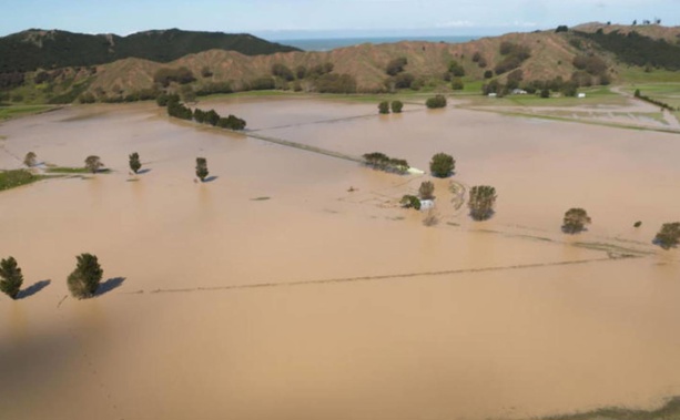 Flooded farmland in the East Cape area. (Photo / RNZ / Angus Dreaver)