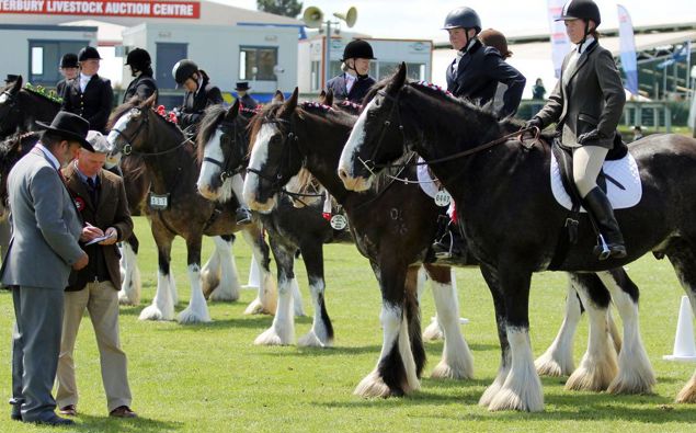 (Photo / NZ Herald)