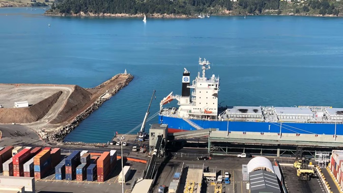Lyttelton Port Company is proposing job cuts, a move workers say will cost lives. Photo / File