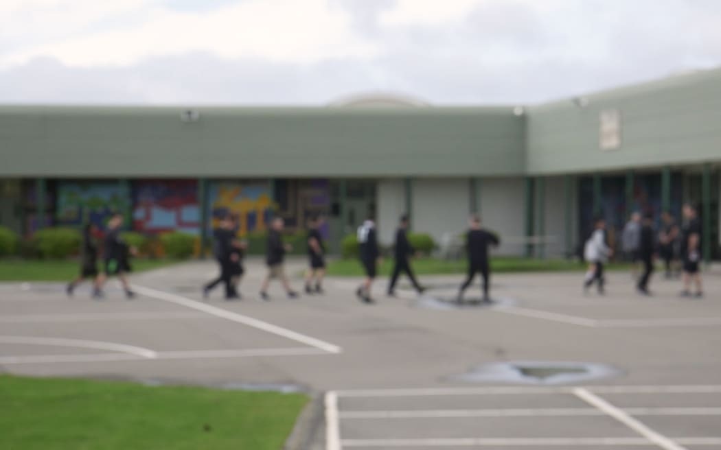 Photo / Cole Eastham Farrelly RNZ