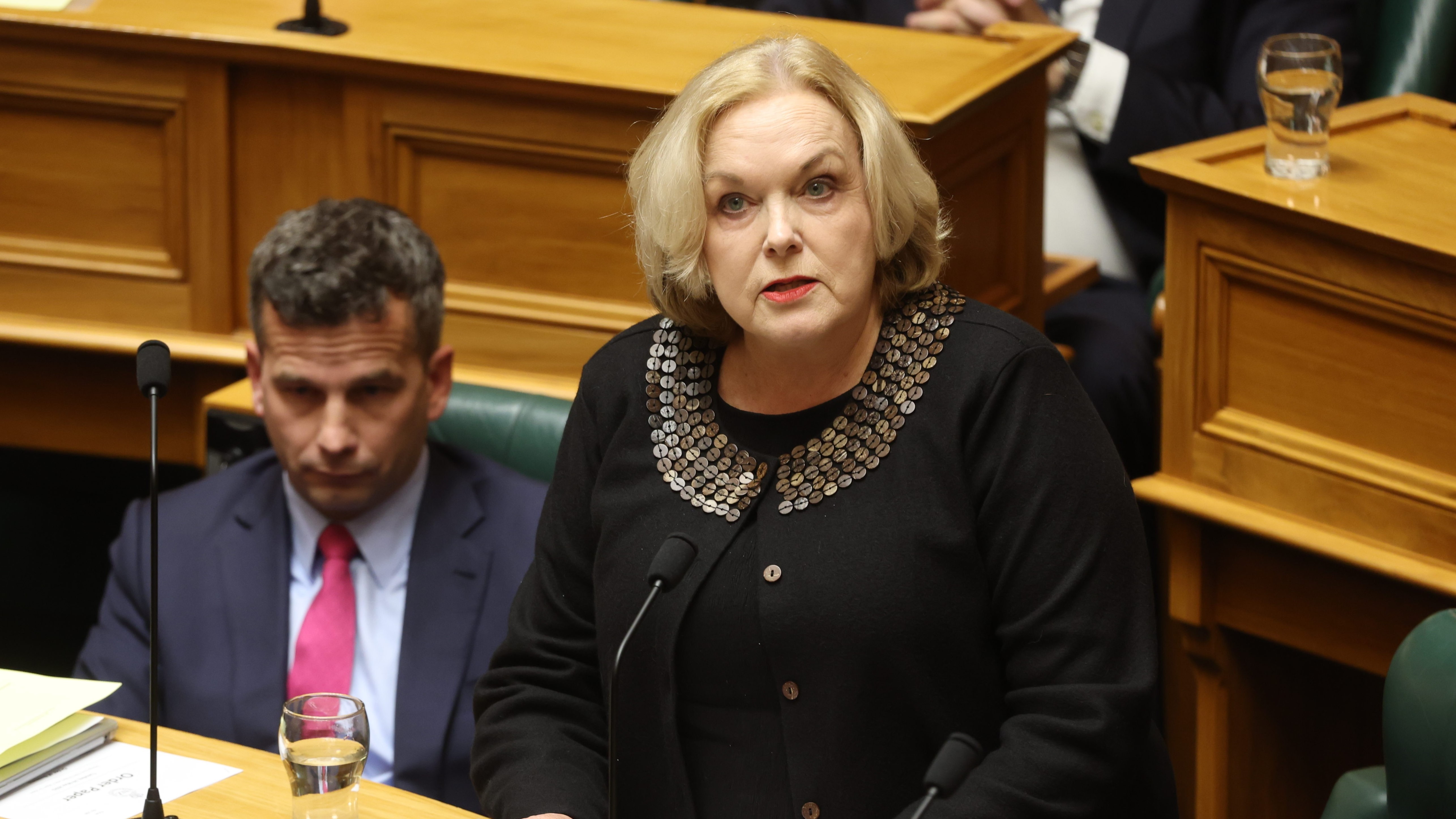 Privileges committee chair Judith Collins. Photo / Mark Mitchell