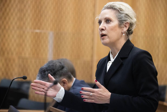 Lawyer Anne Toohey is representing families affected by the terror attack and asked the parliamentary staffer about his response to Tarrant's emailed threat shortly before the massacre. Photo / George Heard