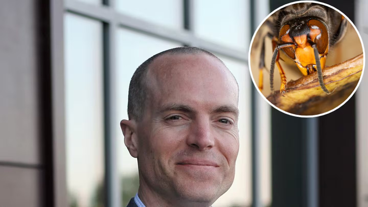 A swarm of hundreds of deadly hornets killed an American father and son enjoying a zipline experience on a holiday in Laos. Photo / Getty, Quality Schools International