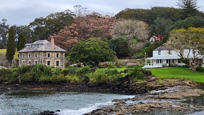 The man responsible for poisoning 50 gum trees near the Kerikeri Stone Store said it gave him a purpose during his retirement and cancer battle. Photo / Jenny Ling