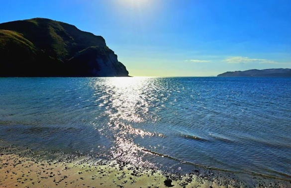 Whale strandings at Mahia Beach are not uncommon. Photo / Michaela Gower