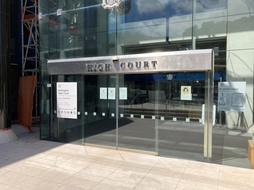Donna Henry was sentenced in the High Court at Wellington this morning.