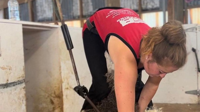 Nurse Kimberly Maclean Grasps A Chance For A Day In The Country, And The Woolshed, To Keep In Trim For Shearing Competitions In The Nelson Marlborough Region. Photo / File