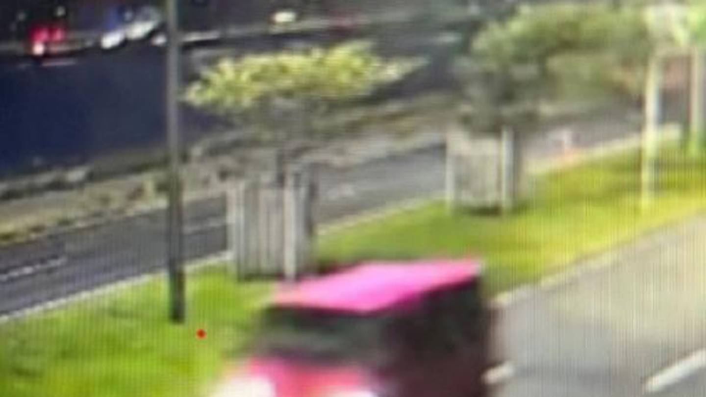 Police have released this image of a red van believed to be involved. Photo / Supplied