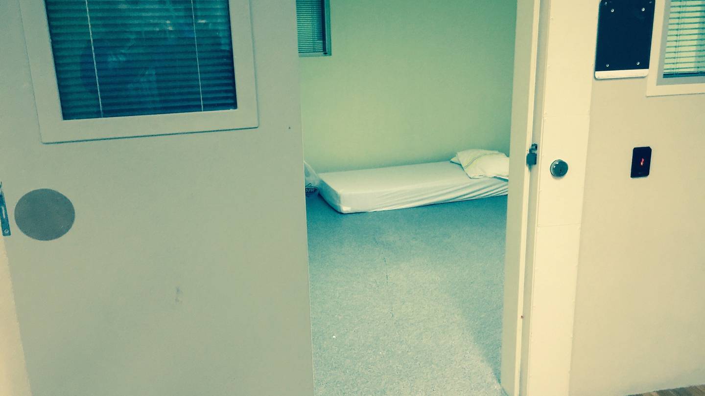 A psychiatrist who used inappropriate and derogatory language when dealing with three mentally unwell patients has been ordered to apologise to them and their families. Photo / File