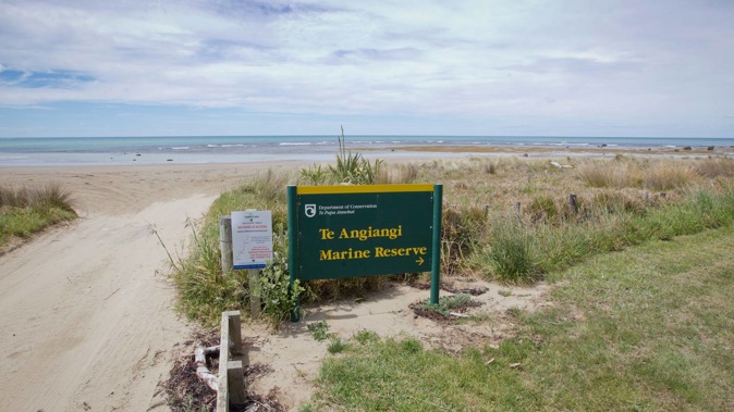 A diver at Aramoana Beach was located in the water at 8.15pm, but could not be revived. Photo / NZME