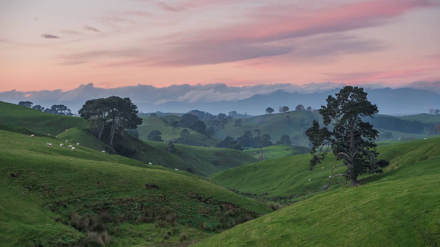 Road trips are an essential part of any Kiwi summer but make sure you enjoy the journey as much as the destination. Photo / Supplied