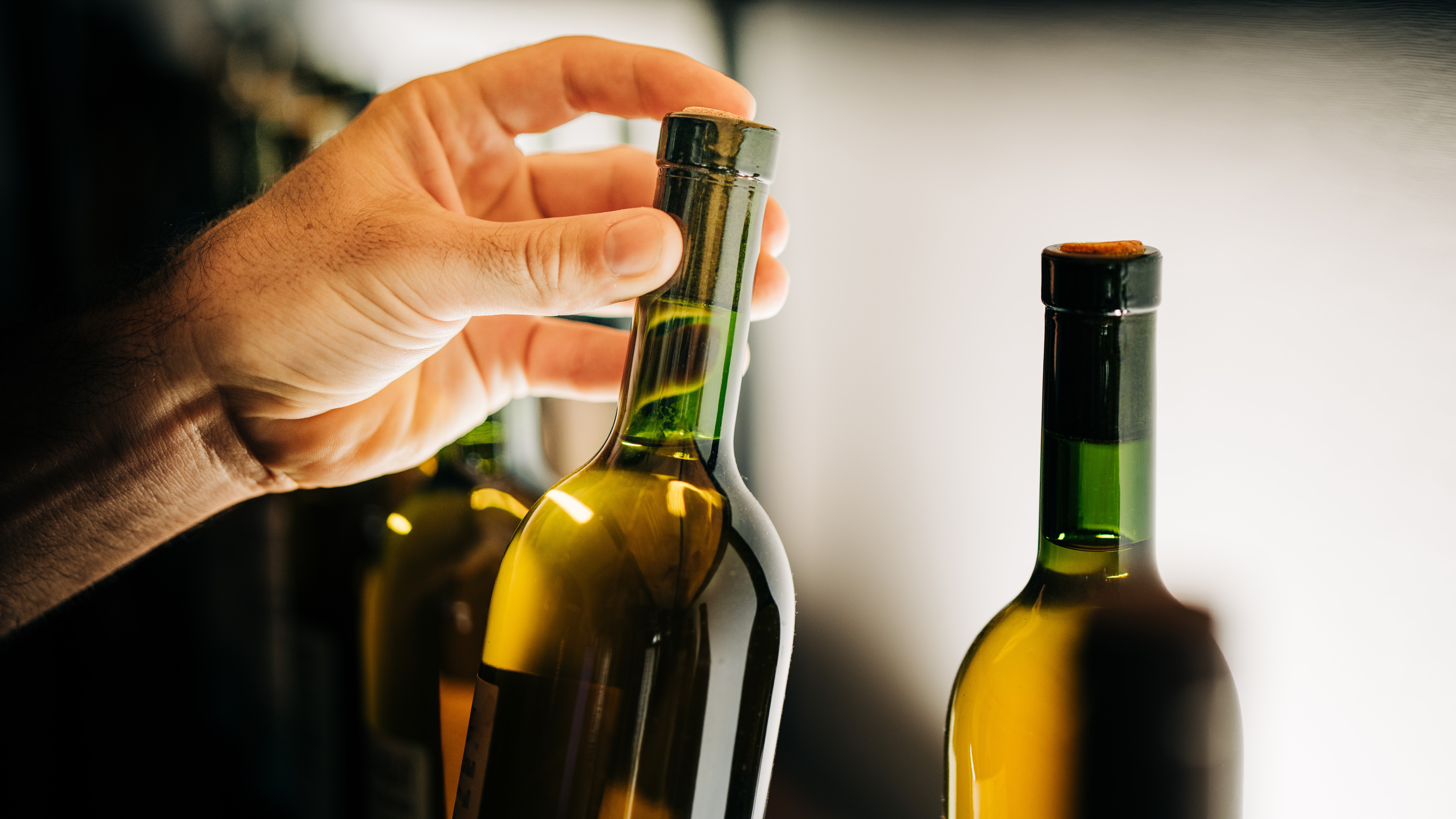 "Wonderful recognition": NZ winery bestowed a clean sweep at London Wine Competition 