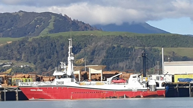 Deep sea fishing vessel Amaltal Apollo has been forfeited, after the Amaltal Fishing Company and the vessel's skipper convicted and fined today for illegal fishing in 2018. Photo / Tracy Neal'