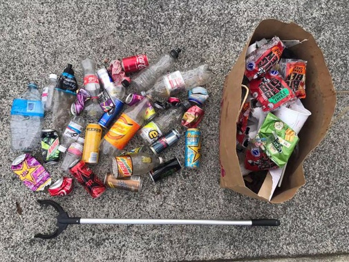 Rubbish collected in Avondale. Photo / Jason Valentine-Burt