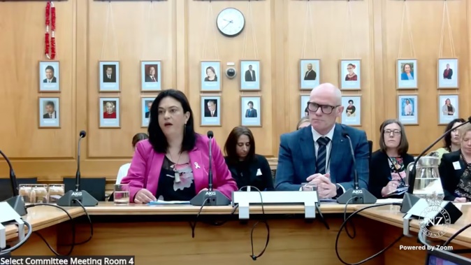 Children's Minister Karen Chhour during her oral submission on to the Social Services and Community select committee. Photo / Supplied