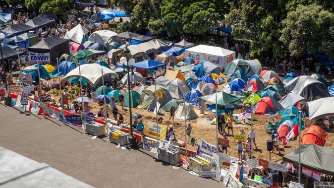 Photo / Mark Mitchell