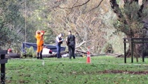 Person dies in Christchurch park incident involving arborist