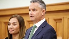 Former Greens co-leader James Shaw said he came close to quitting during his career. Photo / Mark Mitchell