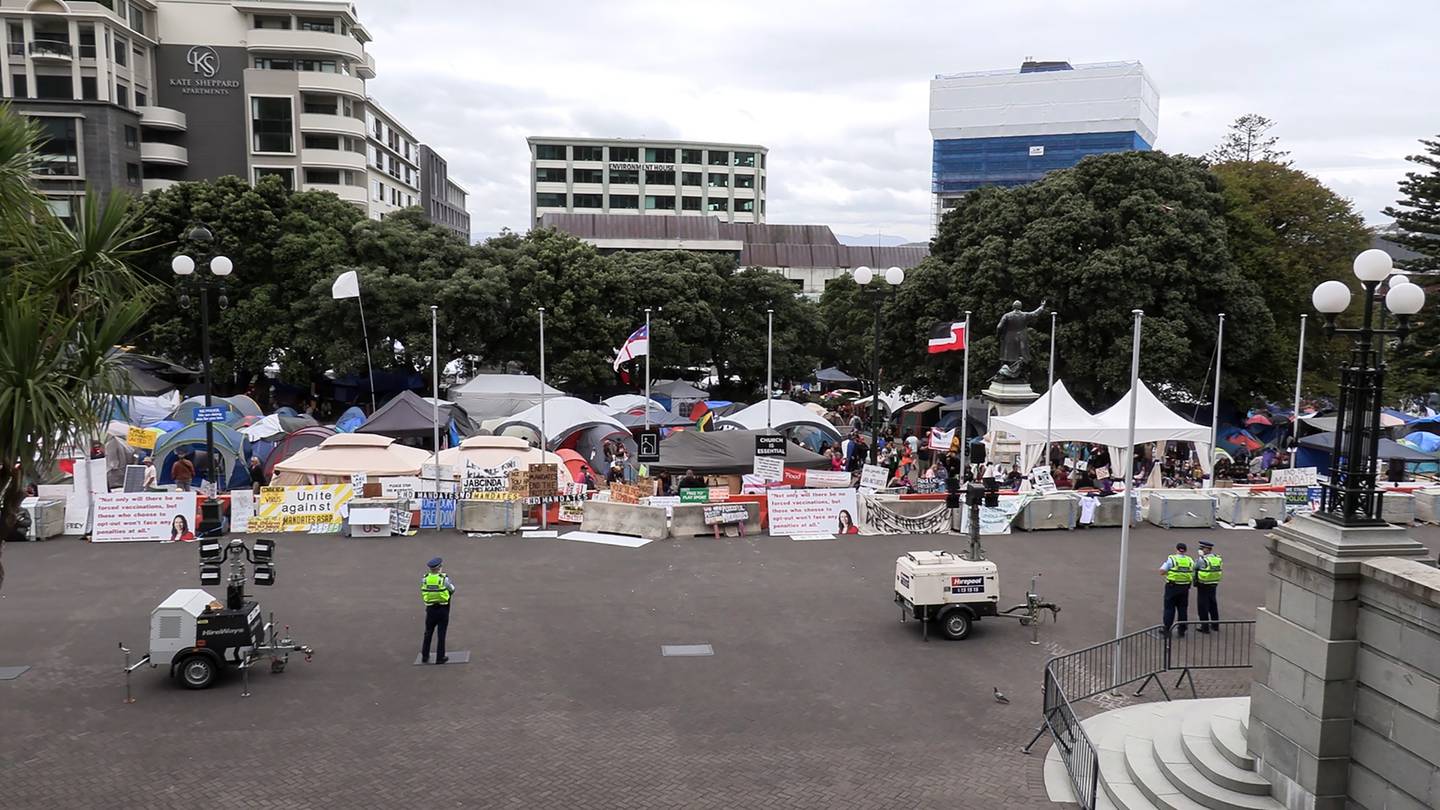 Around 200 people were gathered on the Parliament forecourt on Sunday. (Photo / Jed Bradley)
