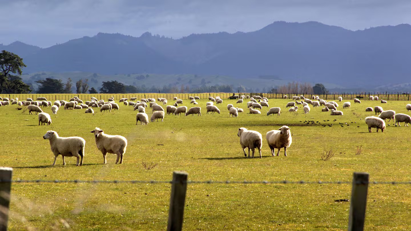 On-farm cost inflation now structural, says report