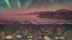 An artist's impression depicts what Earth may have looked like during the Ediacaran Period, when complex life began to blossom. Michael Osadciw/University of Rochester