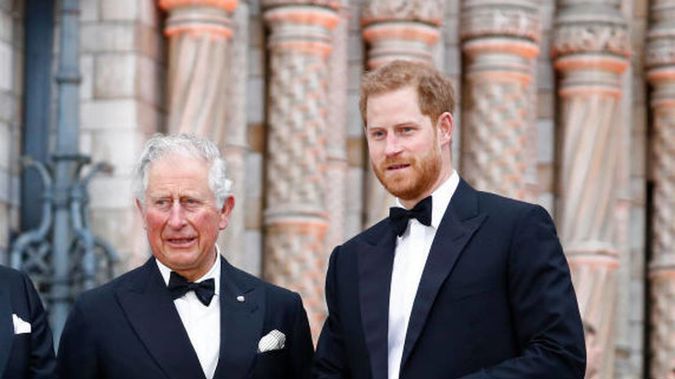 Prince Charles has recognised Prince Harry's work in a new statement. Photo / Getty Images