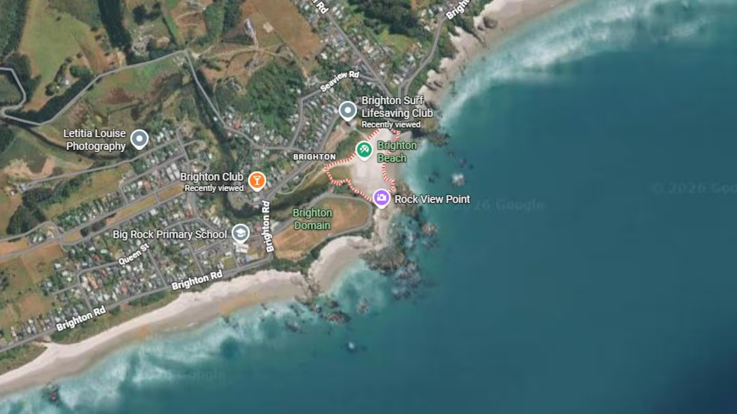 Person rushed to hospital after reports of marine mammal bite at Dunedin beach