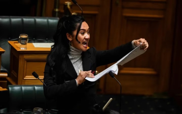 Te Pāti Māori MP Hana-Rāwhiti Maipi-Clarke was among those to perform a haka at Parliament after the first reading of the Treaty Principles Bill in November. Photo / RNZ