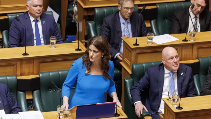 Finance Minister Nicola Willis set aside money for the costing unit. Photo / Mark Mitchell