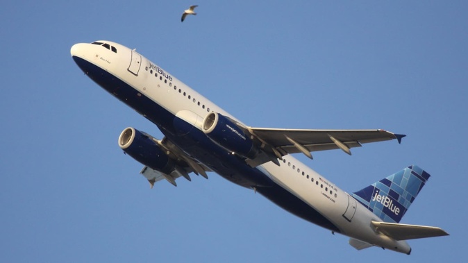 Two people have been found dead inside the landing gear of a JetBlue plane that flew from New York City to Florida. Photo / Christopher Ebdon